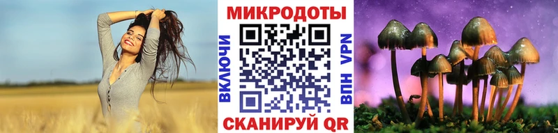 что такое Володарск Псилоцибиновые грибы GOLDEN TEACHER